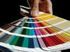 Catlogo de colore